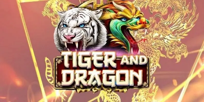 Basic information about the hottest Dragon Tiger game today