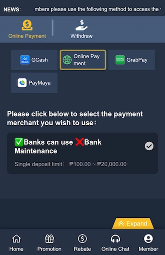 Step 1: choose the Online Payment method.