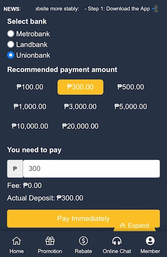 Step 2: select the bank you want to pay from and enter the payment amount.