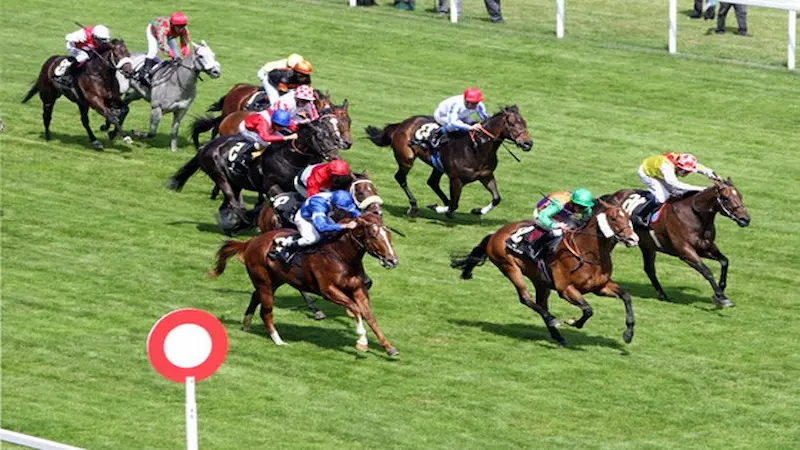 Overview of Horse Racing Betting