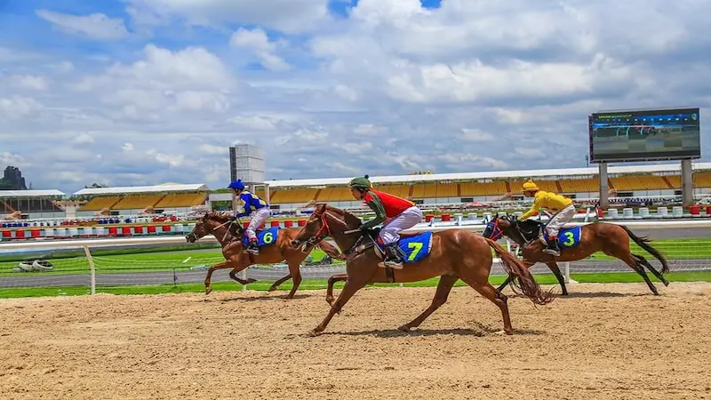 Overview of How Horse Racing Betting Works