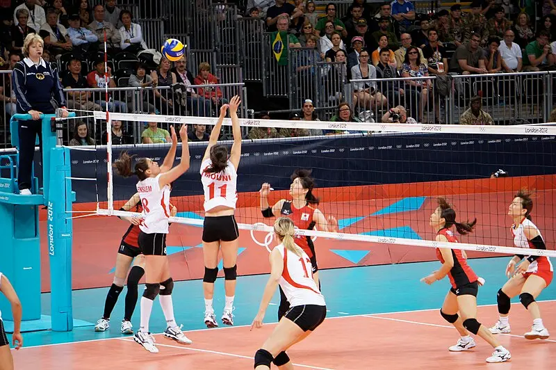 Volleyball Betting Types Preferred by Bettors