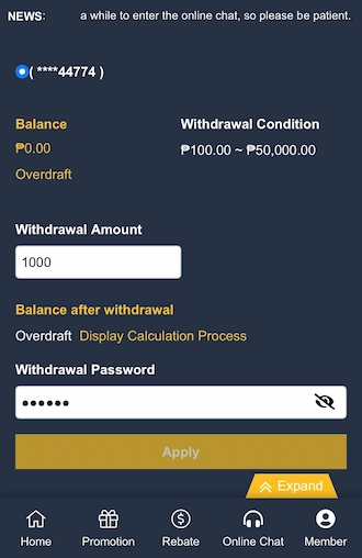 Step 3: please fill in the amount and transaction password.