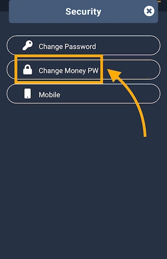 Step 2: Player selects the "Change Money PW" option.